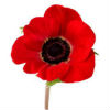 In memoriam of Cory's father.