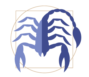 Scorpio Zodiac Sun Sign