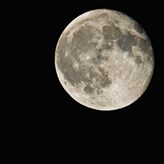 Psychic SvobodaQADONOTUSE x4149