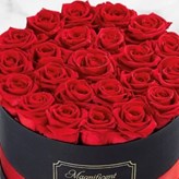 Psychic TestZonePS x4324