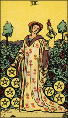 Minor Arcana The Nine of Pentacles Tarot Card