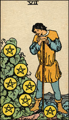 Minor Arcana The Seven of Pentacles Tarot Card