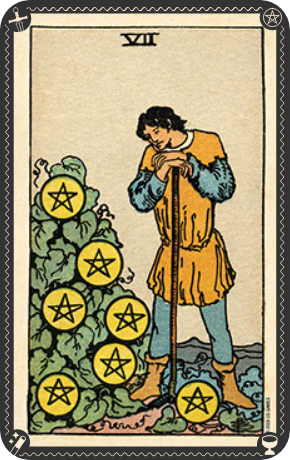 minor pentacles 7