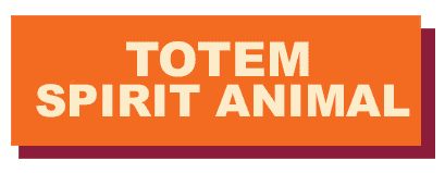 What is My Spirit Animal Quiz | Psychic Source What is My Spirit Animal Quiz | Psychic Source