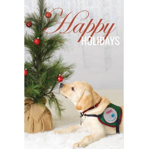 Happy Holidays from PAWS With A Cause
