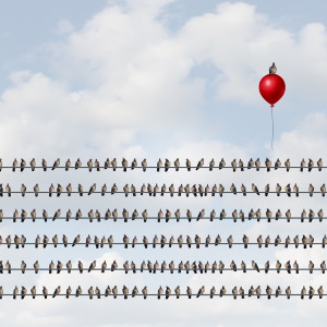 Individualism can set you above the flock, but it also leaves you alone.