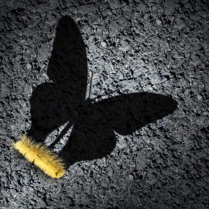 Trying too hard to fix others may prevent them from growing their own wings and learning to fly.