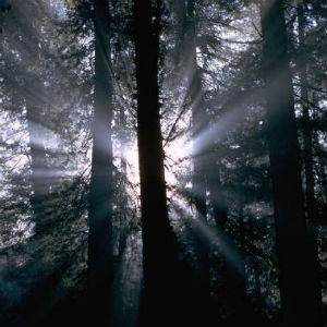 Do you seek personal enlightenment?