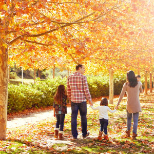 How do you celebrate the energy of the autumn season?