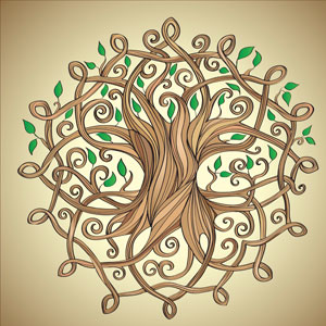 The Celts believed that trees have a very specific energy of their own.
