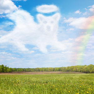 Your pet may be contacting you from the beyond in a variety of ways.