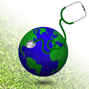 Have you felt the earth's heartbeat?
