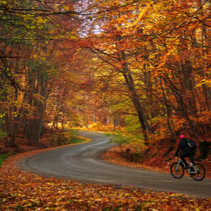 How do you harvest the energy of the autumn season?