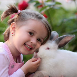 From dogs to cats, birds to rabbits, a Pet Psychic can tune into a variety of animals big and small.