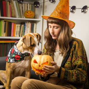 Halloween can be a scary time for your pet if you aren't prepared.
