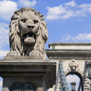 Explore the Lions Gateway into your spiritual destiny and purpose.
