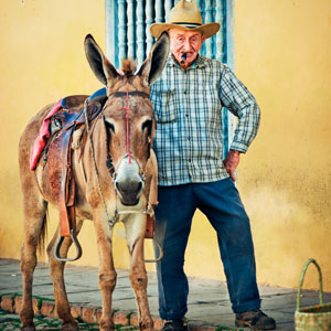 Why should you be the donkey? Read this fable & find out!