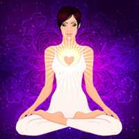 Lotus Flower