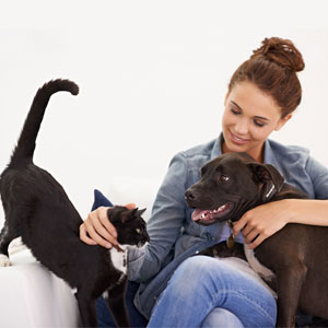 How well do you communicate with your pets?
