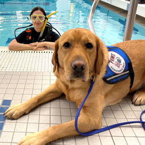 Introducing GILMORE - A Special Paws with a Cause Assistance Dog
 