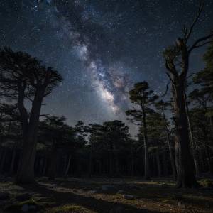 New Moon Spiritual Meaning: Your Guide to Lunar Energy and Renewal