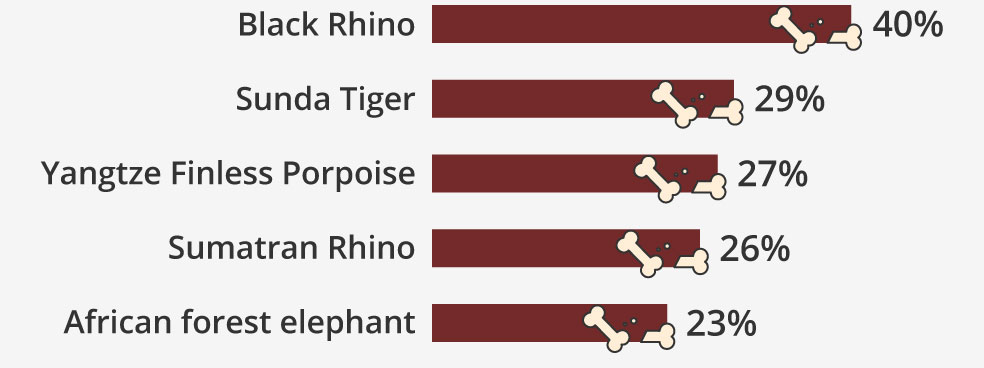 Top 5 animal psychics predict extinction