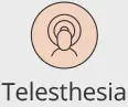 Telesthesia