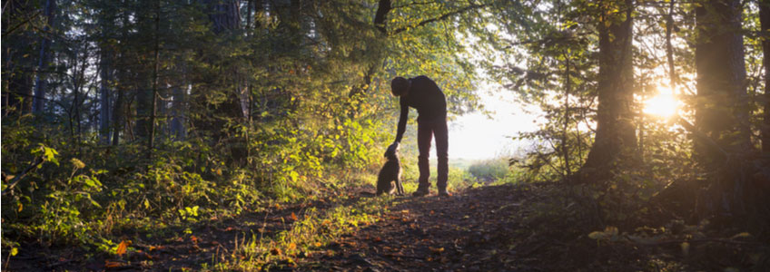 Ghost Stories About Pets