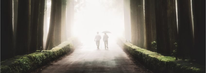 Walking with a loved one that passed on while in a near death experience
