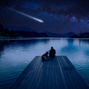 There are many opportunities every year to view a meteor shower.
