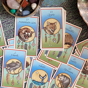 Embracing Native American Animal Medicine Cards and their Meanings