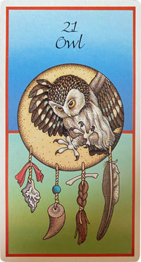 Owl Medicine Card
