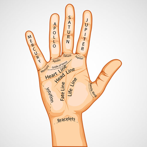 Palm Reading Guide