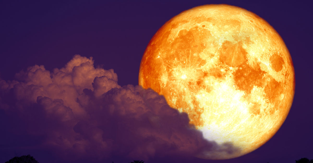 August Full Sturgeon Moon