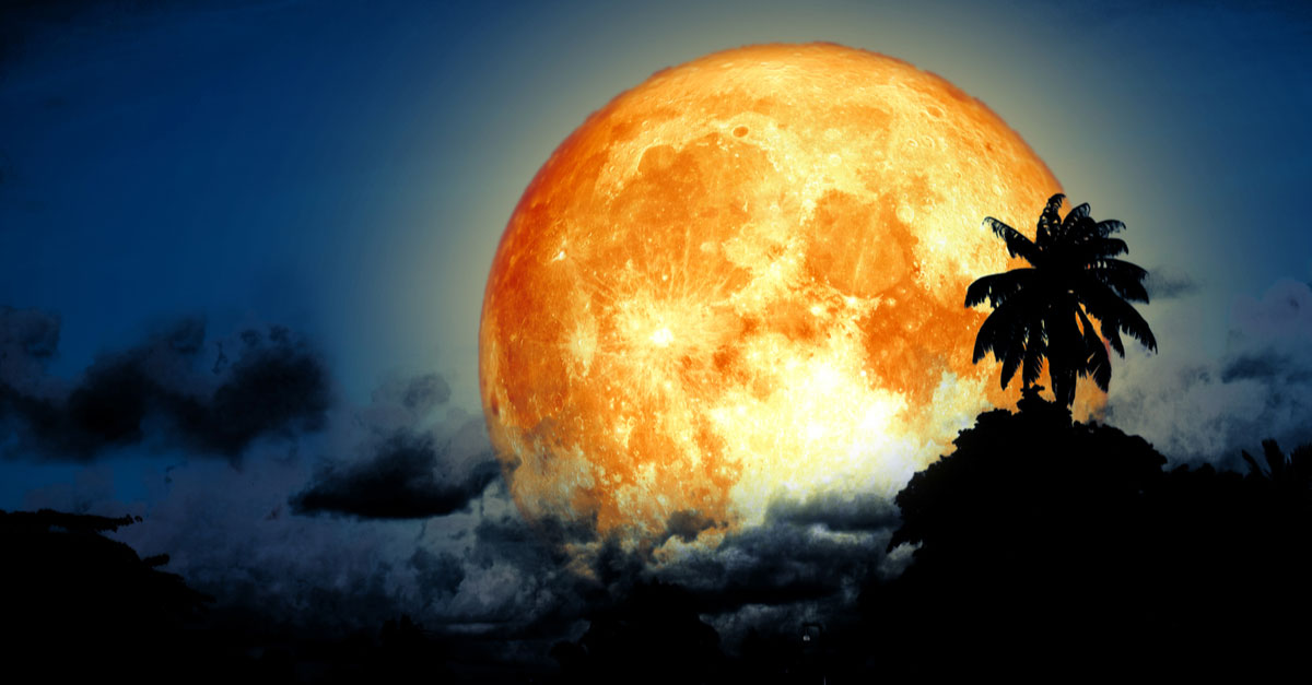 Full Sturgeon Supermoon