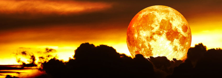 Full August Sturgeon Moon