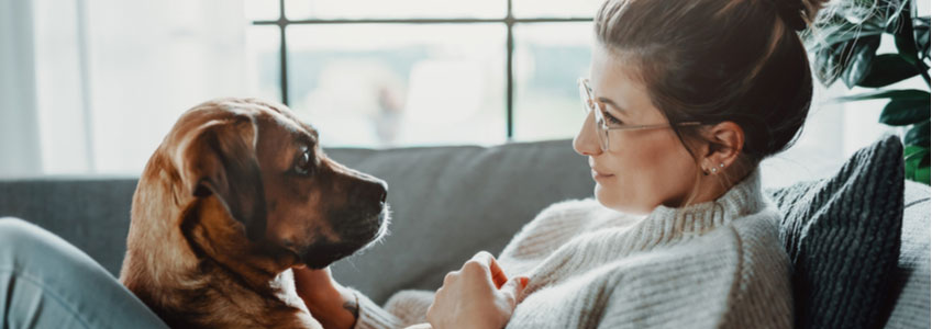 Talking to Animals - It's Not as Hard as You Think by Psychic Moira Talking to Animals - It's Not as Hard as You Think by Psychic Moira