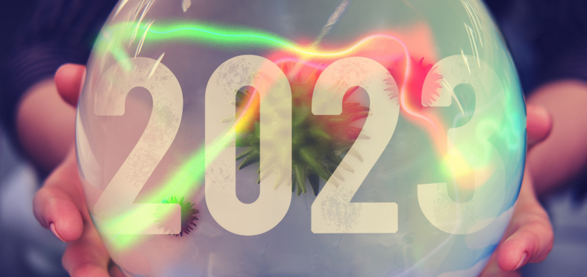 Year 2023
