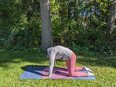 Yoga Pose Cat