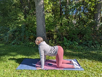 Yoga Pose Cow